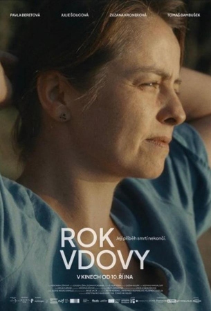 Год вдовы