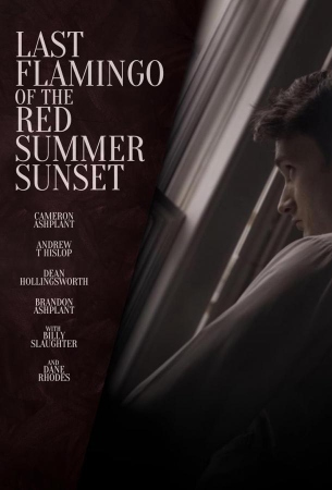 Последний фламинго красного летнего заката